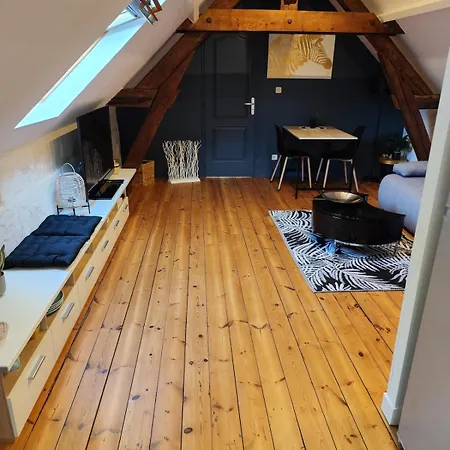 Apartamento Le Saut Saumur